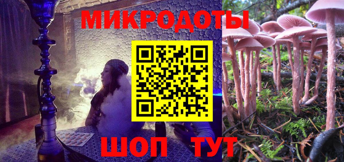 Псилоцибиновые грибы Psilocybe Сланцы