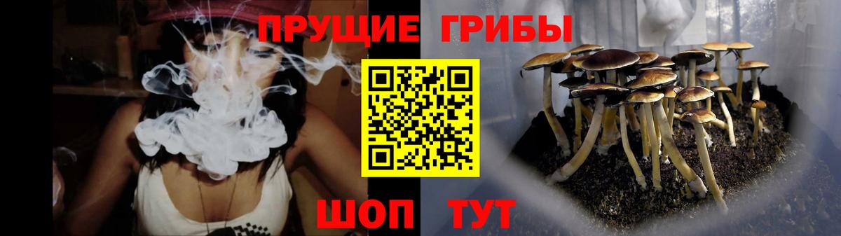 Галлюциногенные грибы мицелий  Вход с VPN  Сланцы  Галлюциногенные грибы ЛСД 